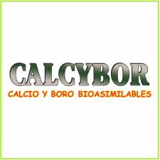 Calcybor