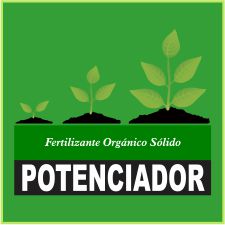 Potenciador