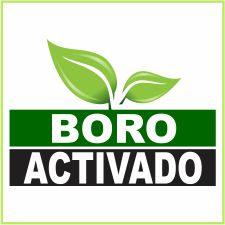 Boro Activado